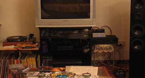 [T-Preamp + Fenice 20 Tripath]