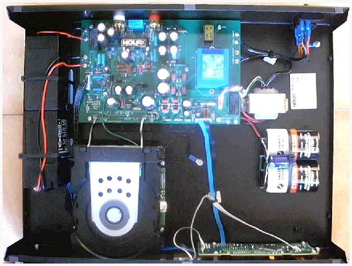 [Holfi xaurus NFB Rex - inside view]