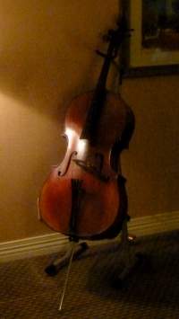 [Un violoncello]