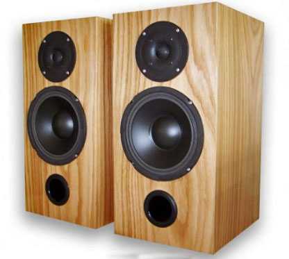 [Alacrity Audio Caterthun integrated loudspeaker amplifier]