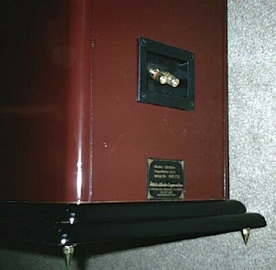 [Cicada Binding Posts, Tip-Toes]