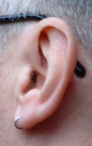 [Ear with fuzziness]