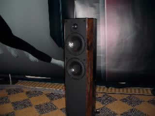 [Wilson Benesch]