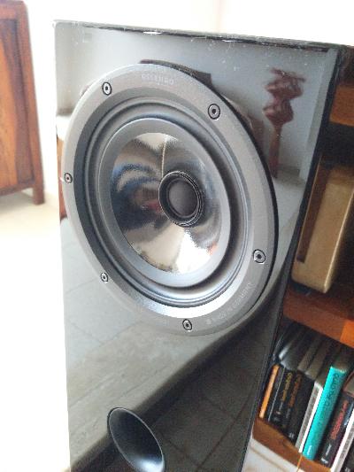 [Ascendo D6 - drivers]