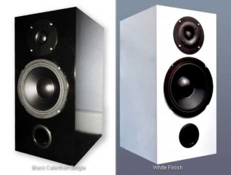 [Diffusori Alacrity Audio Caterthun]