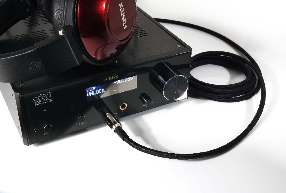 [Fostex HP-A8C DAC]