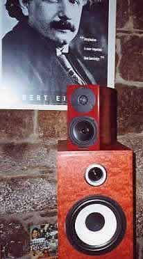 [PenAudio Rebel Evo 1 speakers]