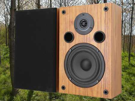 Trends Audio SA-10 loudspeakers.