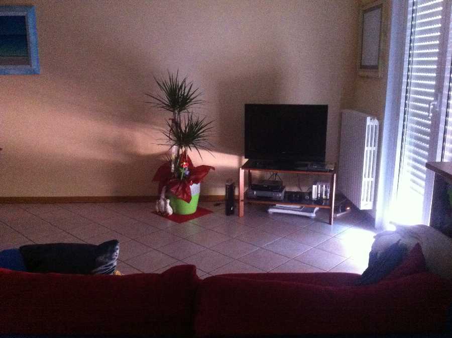 [Sala d'ascolto]