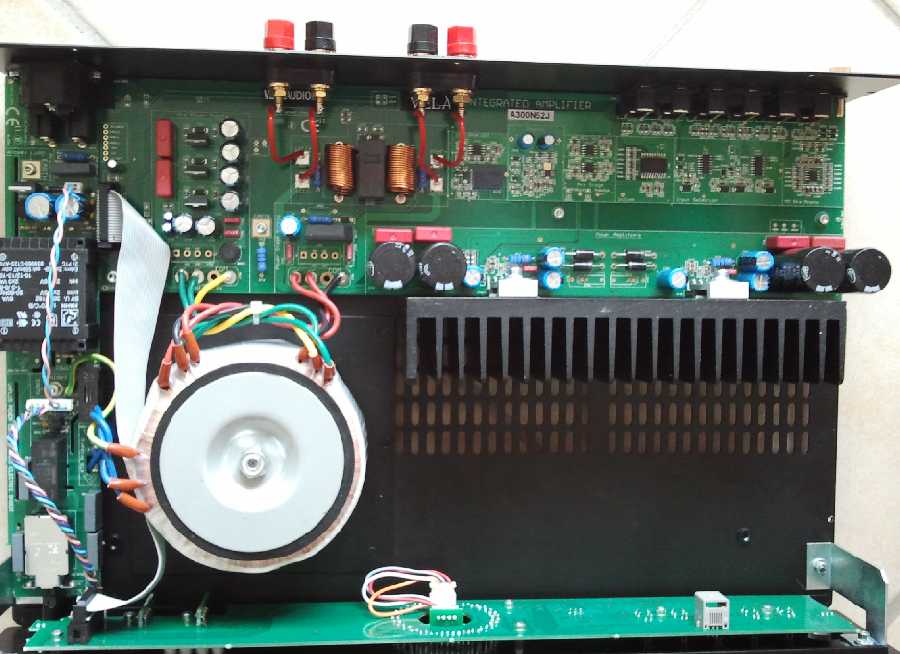 [Vela Audio amp - internal view]